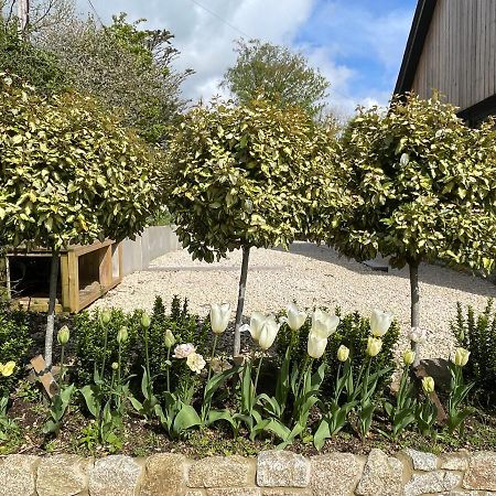 Penzion Cedar House Ilsington Exteriér fotografie