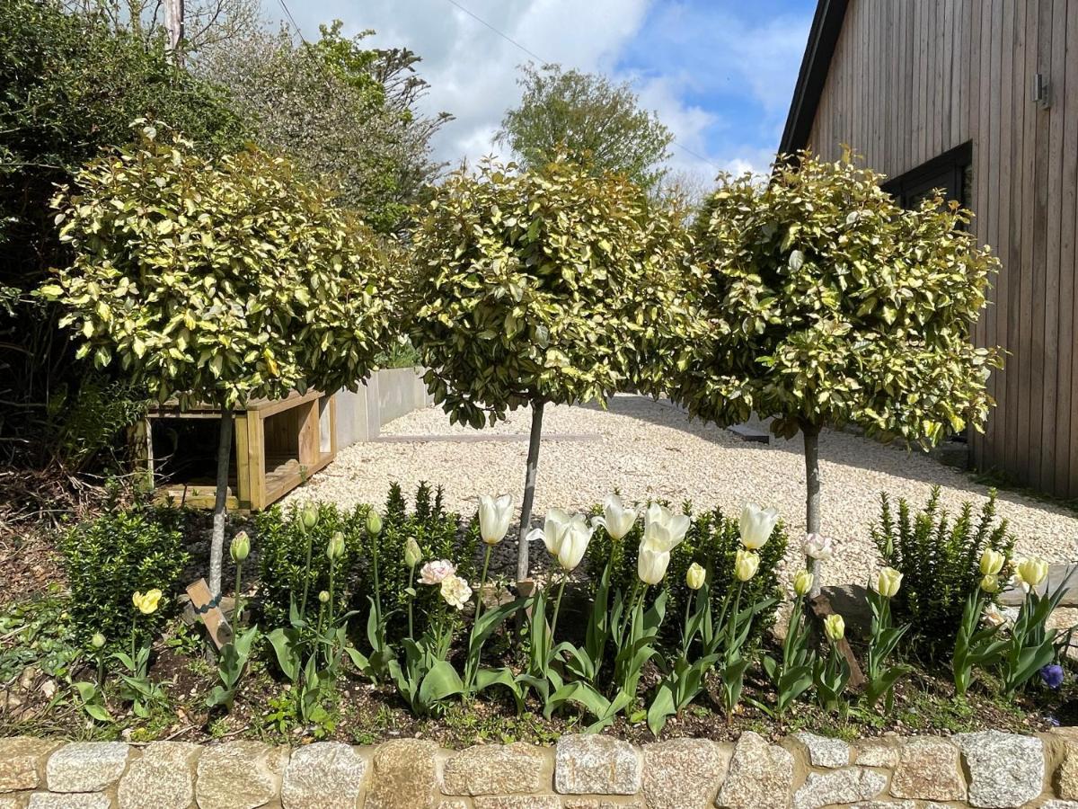 Penzion Cedar House Ilsington Exteriér fotografie
